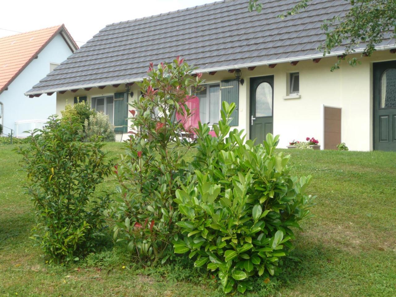 Bed and Breakfast Chez Anny Et Jean Au Mittelbuehl-Reichshoffen Esterno foto