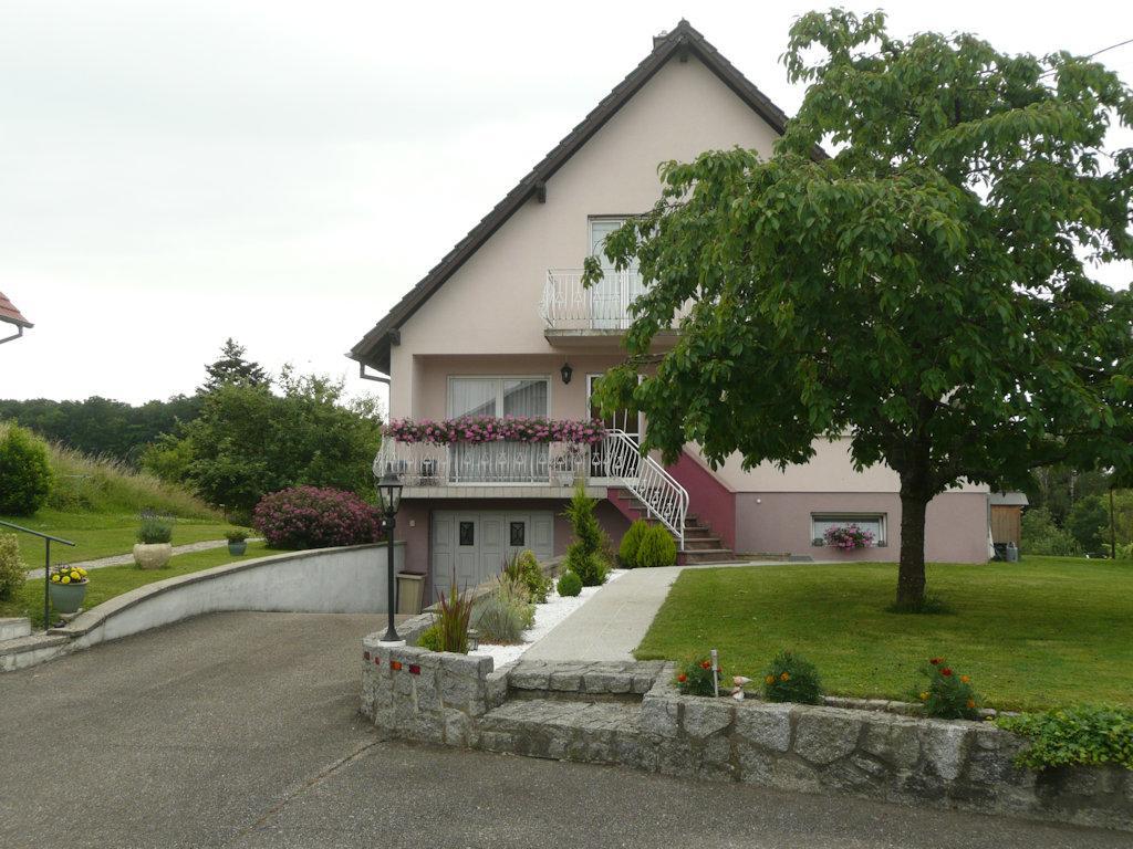 Bed and Breakfast Chez Anny Et Jean Au Mittelbuehl-Reichshoffen Esterno foto