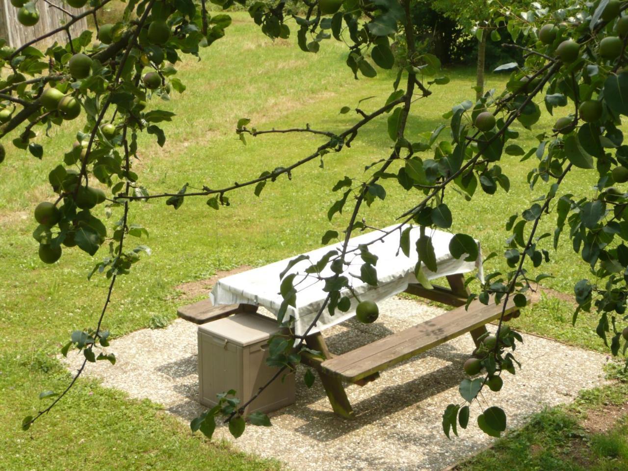 Bed and Breakfast Chez Anny Et Jean Au Mittelbuehl-Reichshoffen Esterno foto